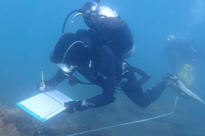 Coral reef fish running out of time to recover at Great Barrier Reef islands