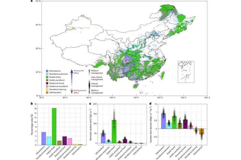 Researchers verify China's claim of land management increases in forestation to sequester carbon