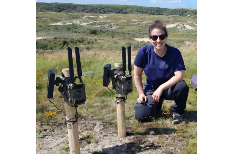Revolutionizing biodiversity monitoring with a network of automated wildlife cameras